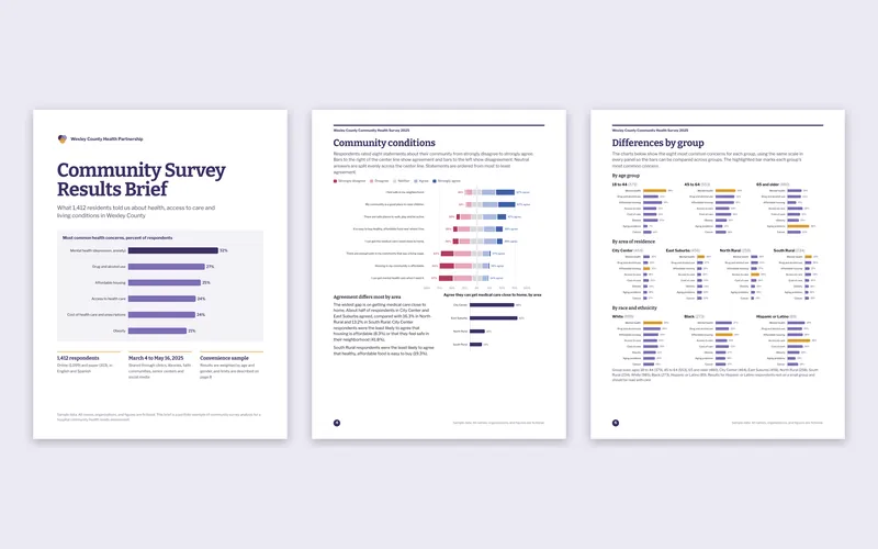 Community Health Survey Results: Brief pages