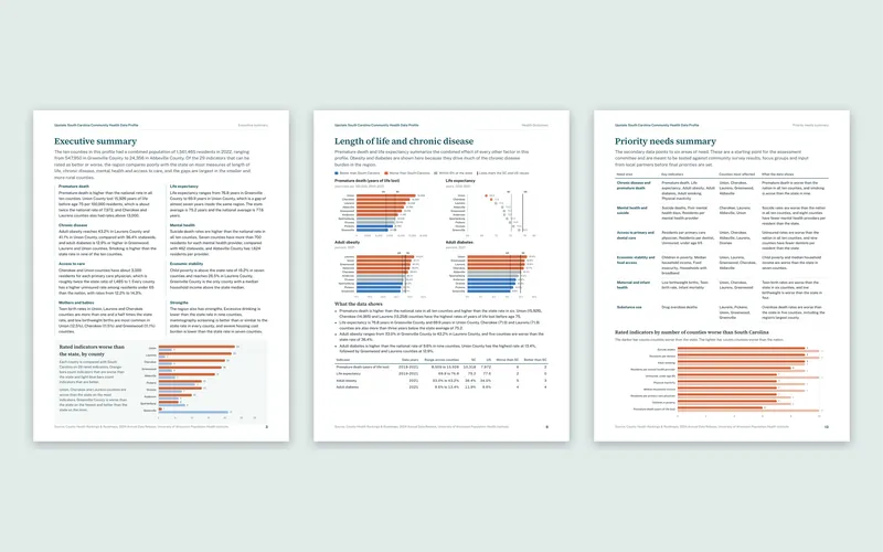 County Health Profile: Upstate South Carolina: Report summary and priorities